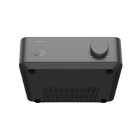 WiiM Vibelink Amp Integrated Amplifier