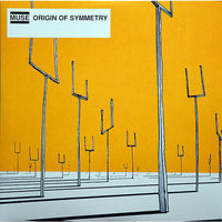Muse - Origin of Symmetry [Vinyl LP]