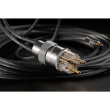Audiovector Freedom Concept Ground Cable (5m Pair)