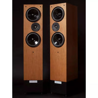 Living Voice IBX-RW4 Loudspeaker